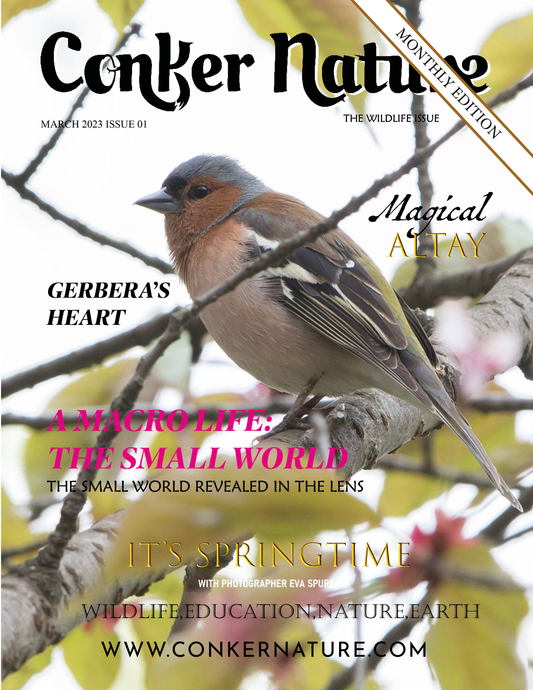 CONKER NATURE MAGAZINE | SPRING | THE WILDLIFE MONTHLY ISSUE: MARCH 2023 | VOL XXII | ISSUE I