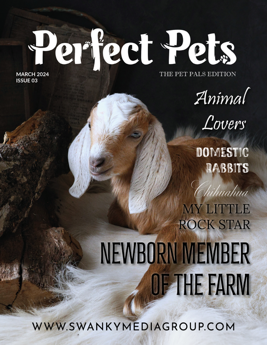 Perfect Pets Magazine - March 2024: The Perfect Pets Pals Edition Issue 3