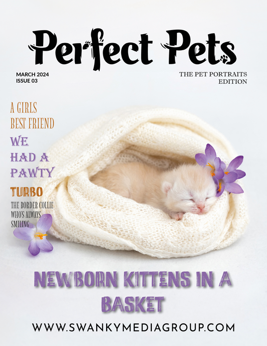 Perfect Pets Magazine - March 2024: The Pet Portrait Edition Issue 3