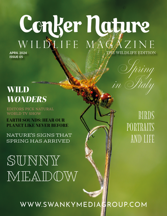 Conker Nature Magazine - April 2024: The Wildlife Edition Issue 5