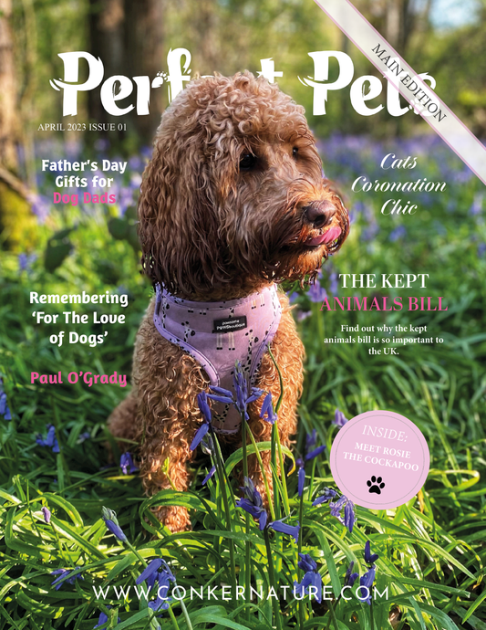 PERFECT PETS MAGAZINE | SPRING | THE PET MAIN ISSUE: APRIL 2023 | VOL XXIII | ISSUE I