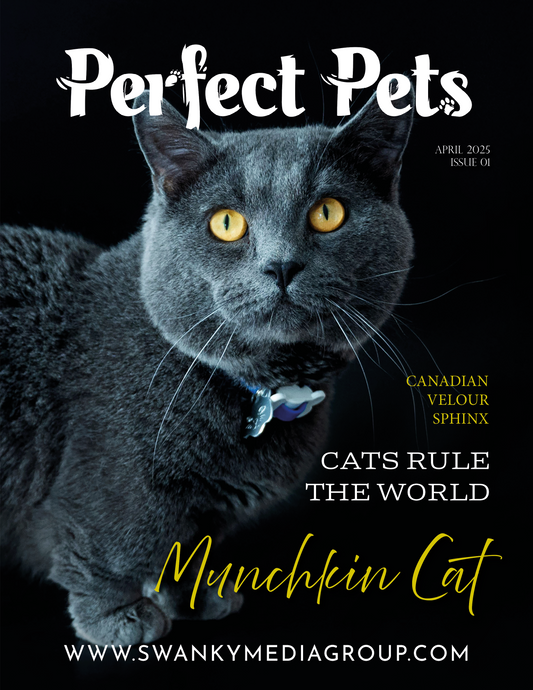 Perfect Pets Magazine - April 2025: The Pet Pals Issue