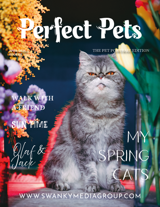 Perfect Pets Magazine - April 2024: The Pet Portrait Edition Issue 5