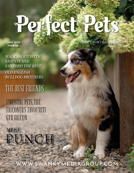 Perfect Pets Magazine - May 2024: The Pet Portrait Edition Issue 6