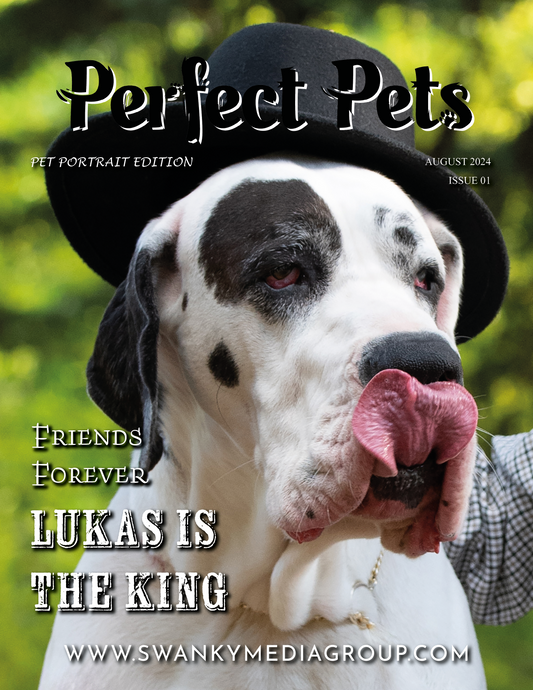 Perfect Pets Magazine - August 2024: The Pet Portrait Edition