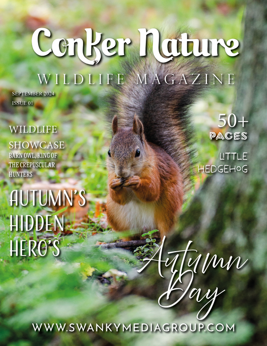 Conker Nature Magazine - September 2024: The Wildlife Edition