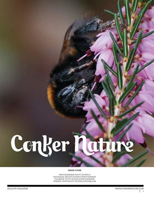 CONKER NATURE MAGAZINE | SPRING | THE WILDLIFE MONTHLY ISSUE: MARCH 2023 | VOL XXII | ISSUE I