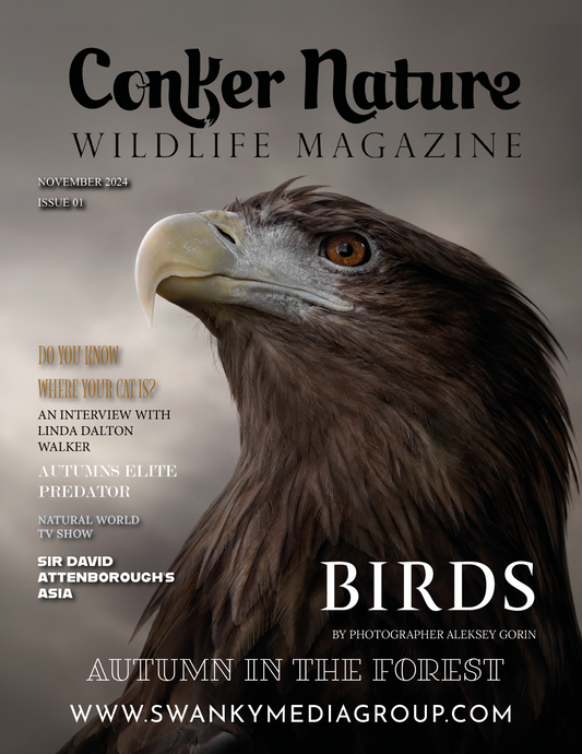 Conker Nature Magazine - November 2024: The Wildlife Edition