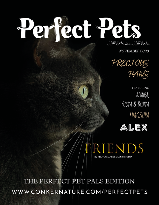 Perfect Pets Magazine - November 2023: The Perfect Pet Pals Issue