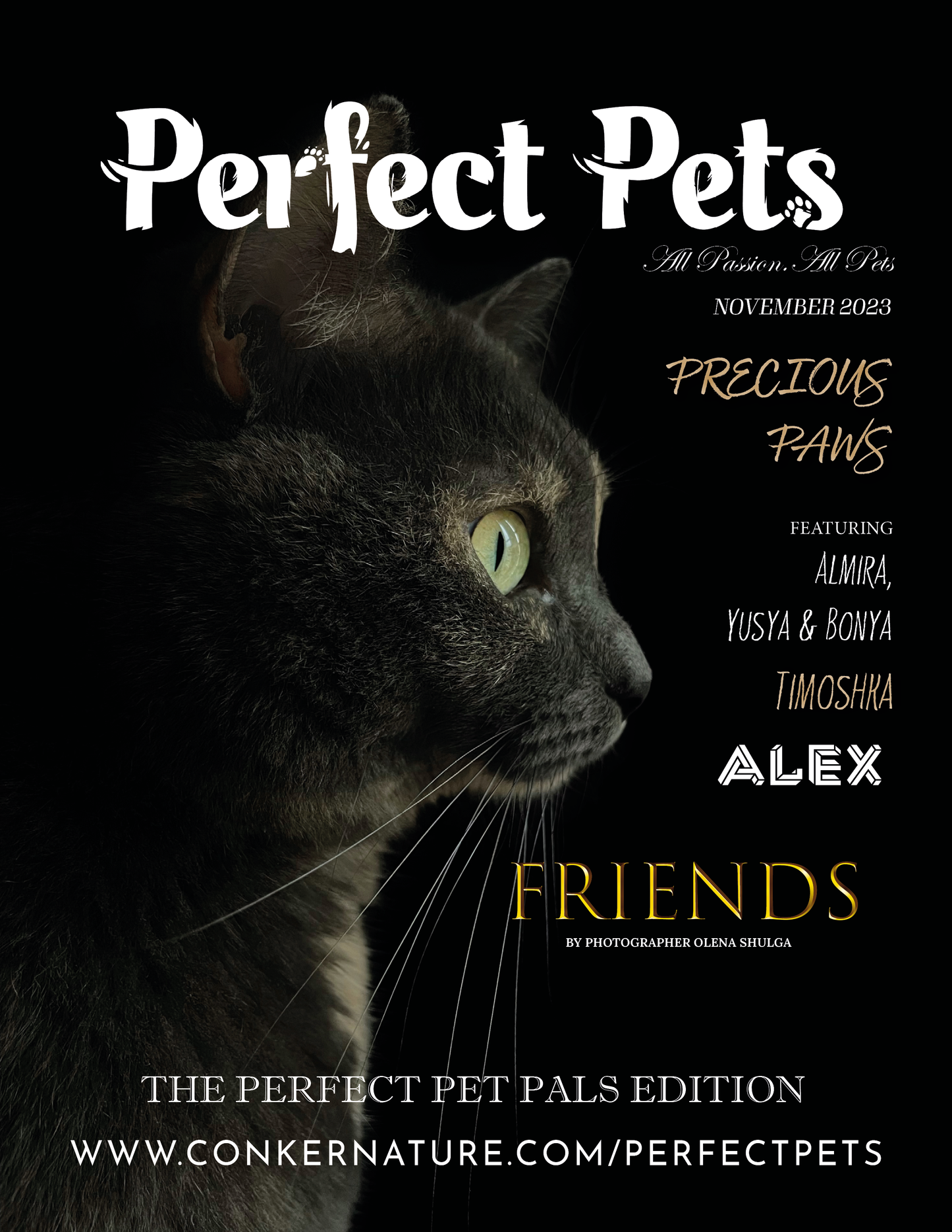 Rivista Perfect Pets - Novembre 2023: il numero di Perfect Pet Pals