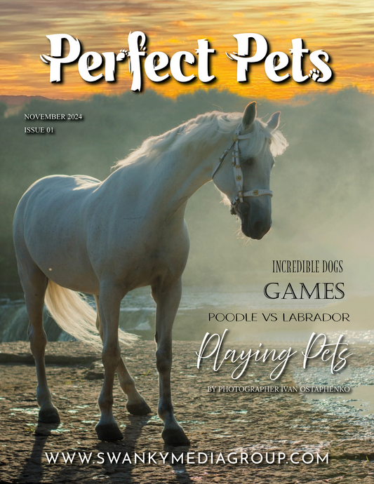 Perfect Pets Magazine - November 2024: The Pet Portrait Edition