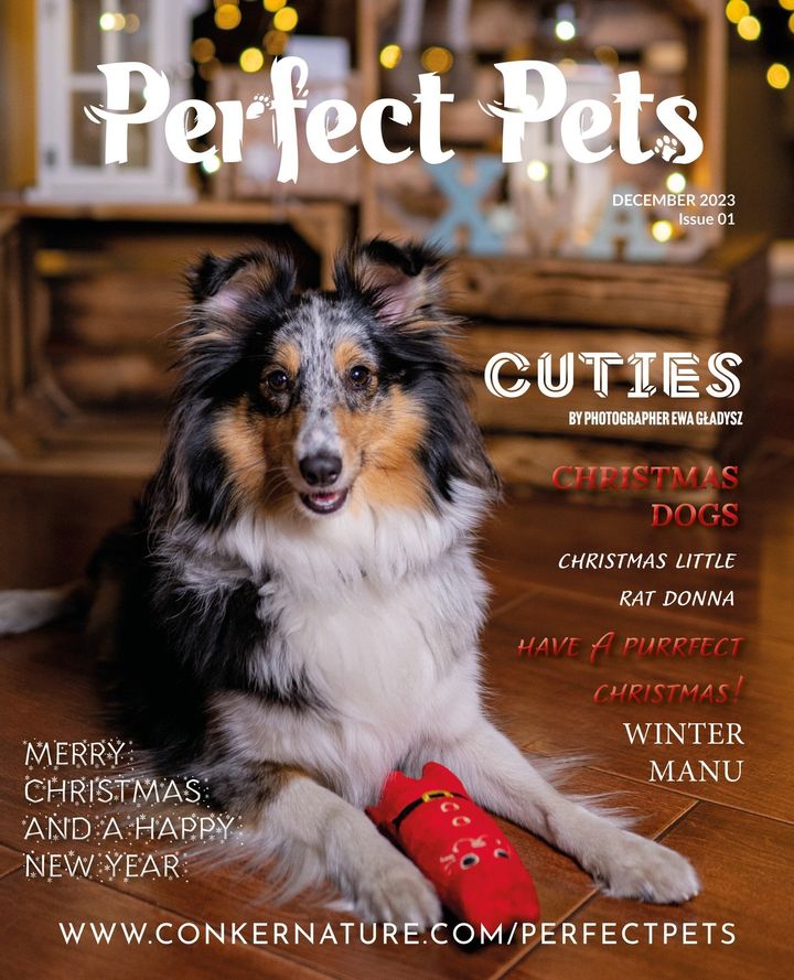 Perfect Pets Magazine - December 2023: The Paws and Claus Christmas Issue