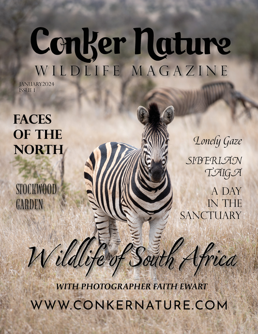 Conker Nature Magazine - January 2024: The Wildlife Edition Issue 1
