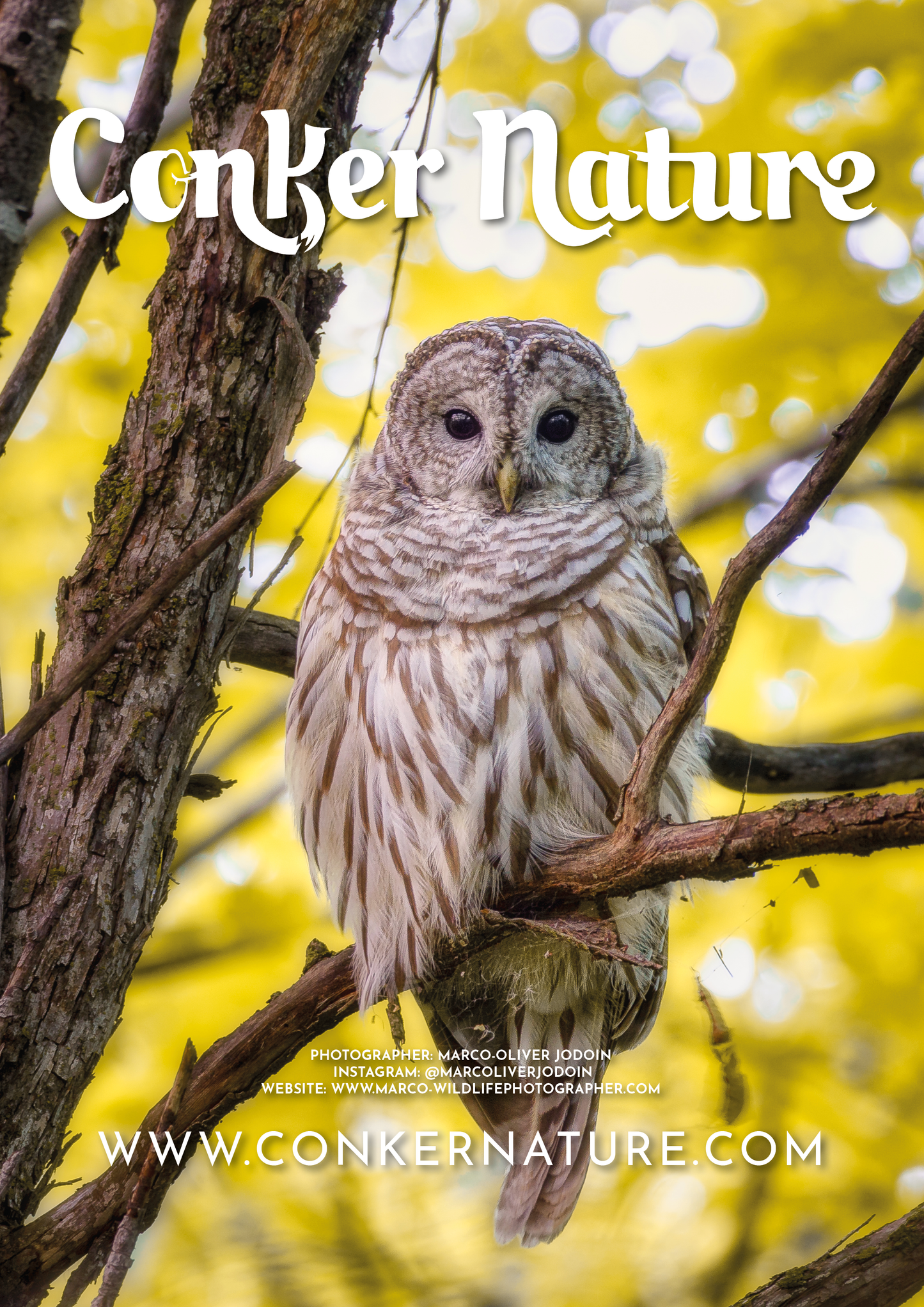 Conker Nature Magazine | Autumn | The Autumn Wildlife Issue: October 2023