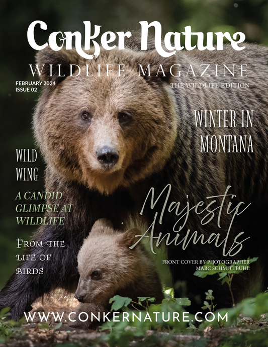 Conker Nature Magazine - February 2024: The Wildlife Edition Issue 2