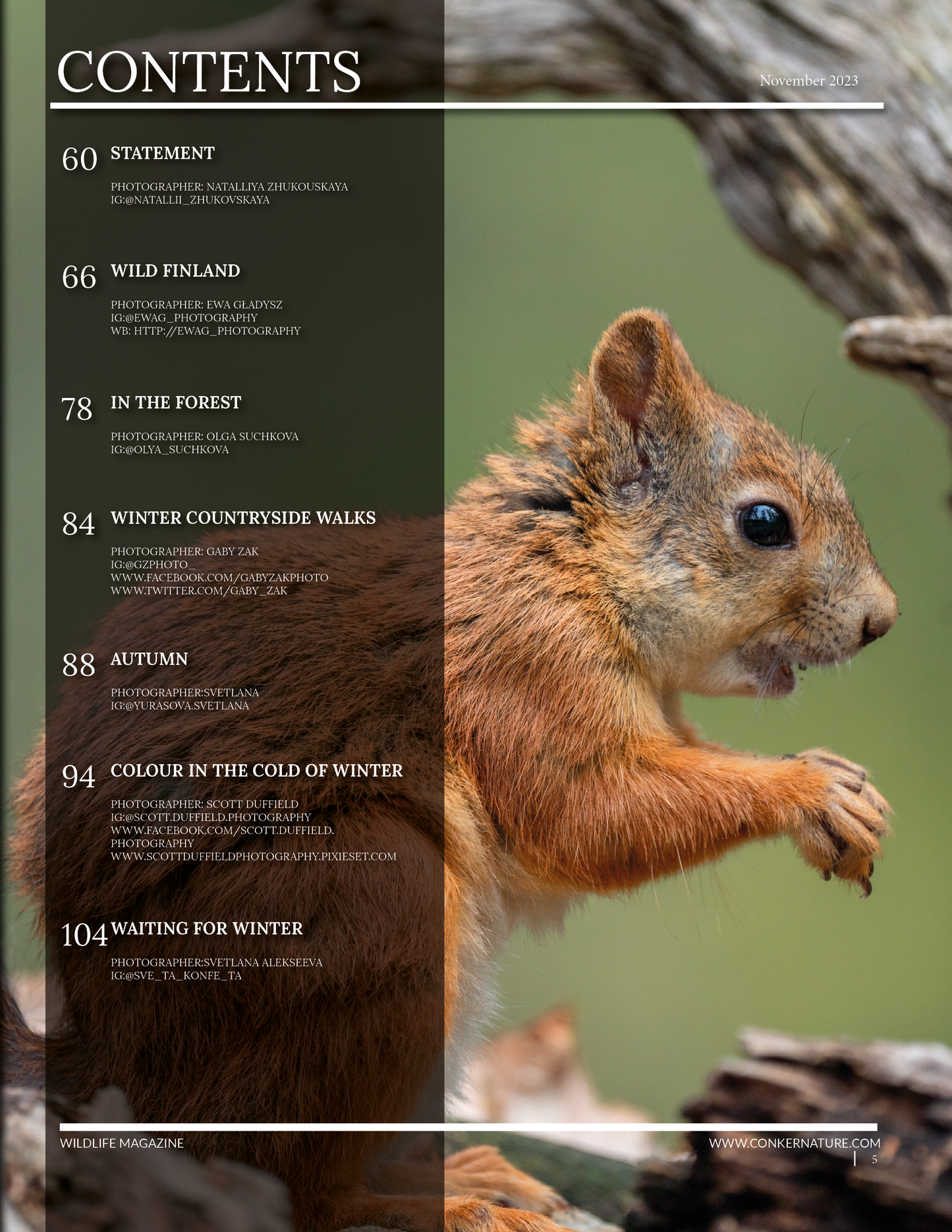 Conker Nature Magazine - November 2023: The Winter Wildlife Issue