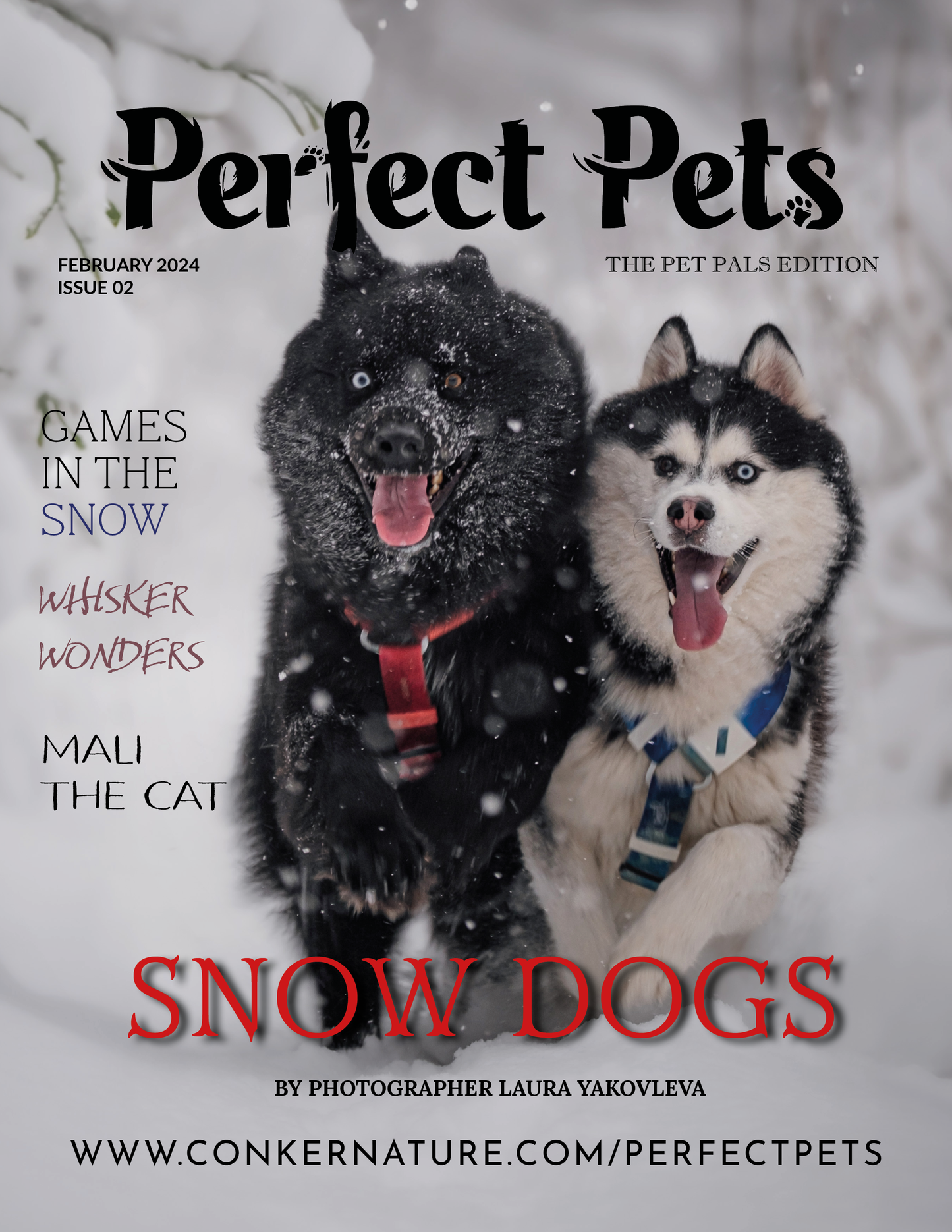 Rivista Perfect Pets - Febbraio 2024: The Pets Pals Edition Numero 2