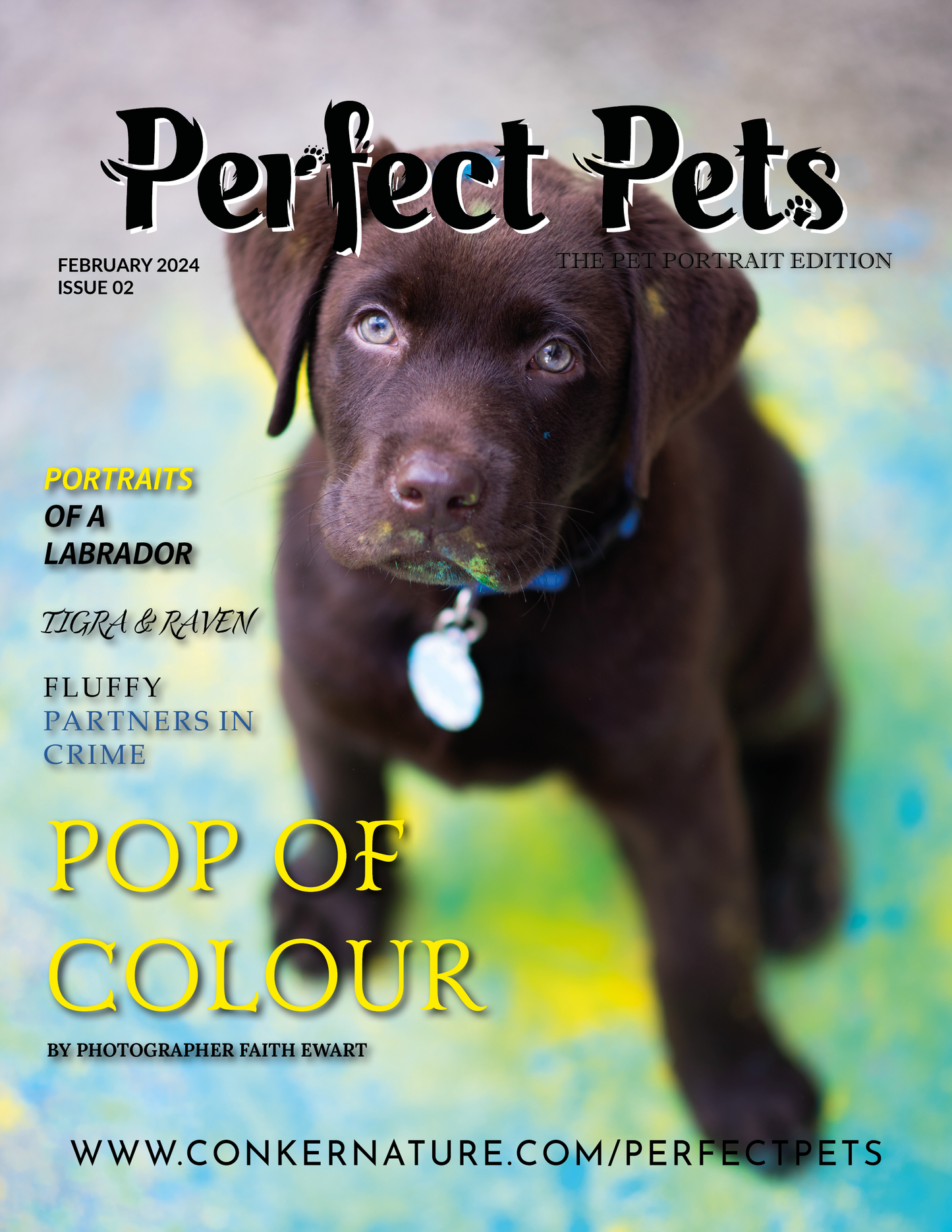 Rivista Perfect Pets - Febbraio 2024: The Pet Portrait Edition Numero 2