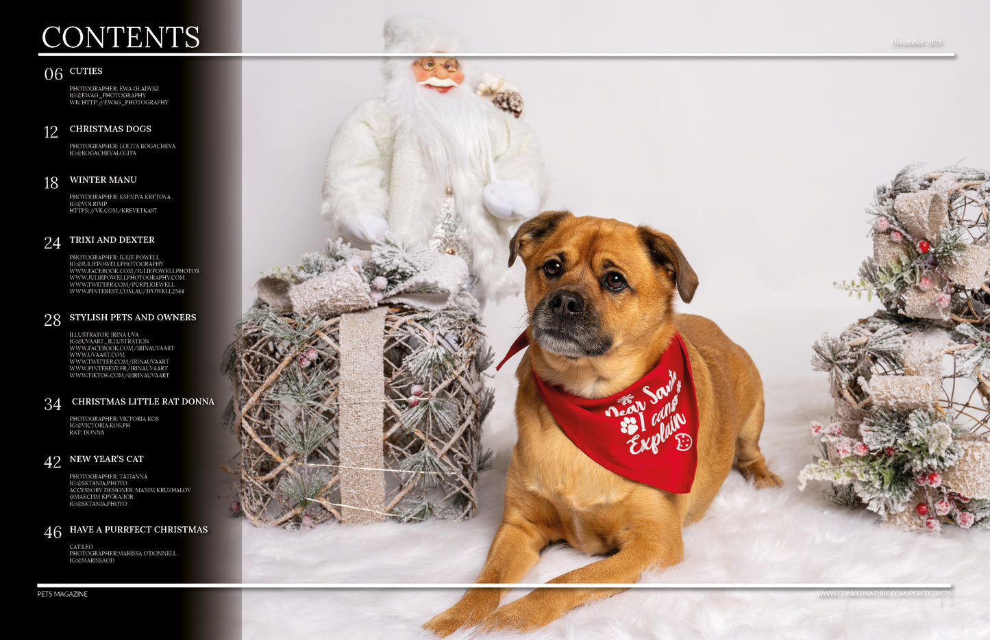 Perfect Pets Magazine - December 2023: The Paws and Claus Christmas Issue