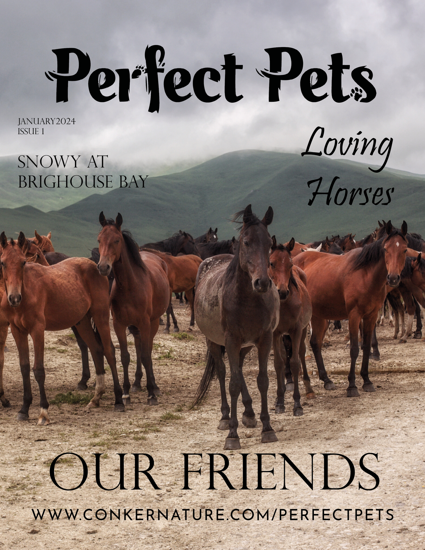Perfect Pets Magazine - January 2024 Issue I: The Equestrian Edition Issue 1