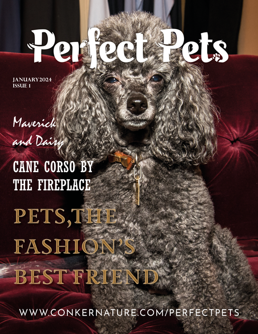 Perfect Pets Magazine - January 2024 Issue 2: The Perfect Pets Edition Issue 1