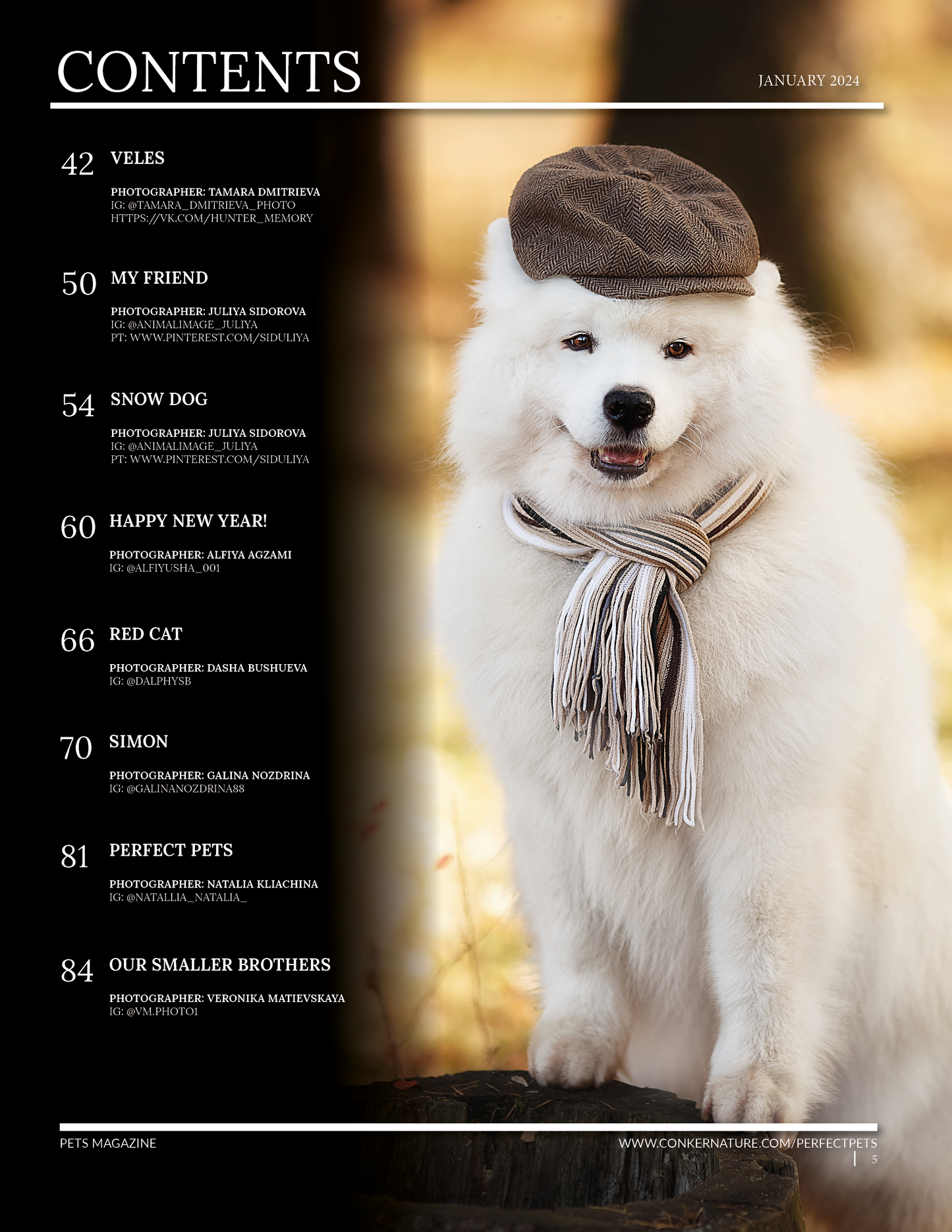 Perfect Pets Magazine - January 2024 Issue 2: The Perfect Pets Edition Issue 1