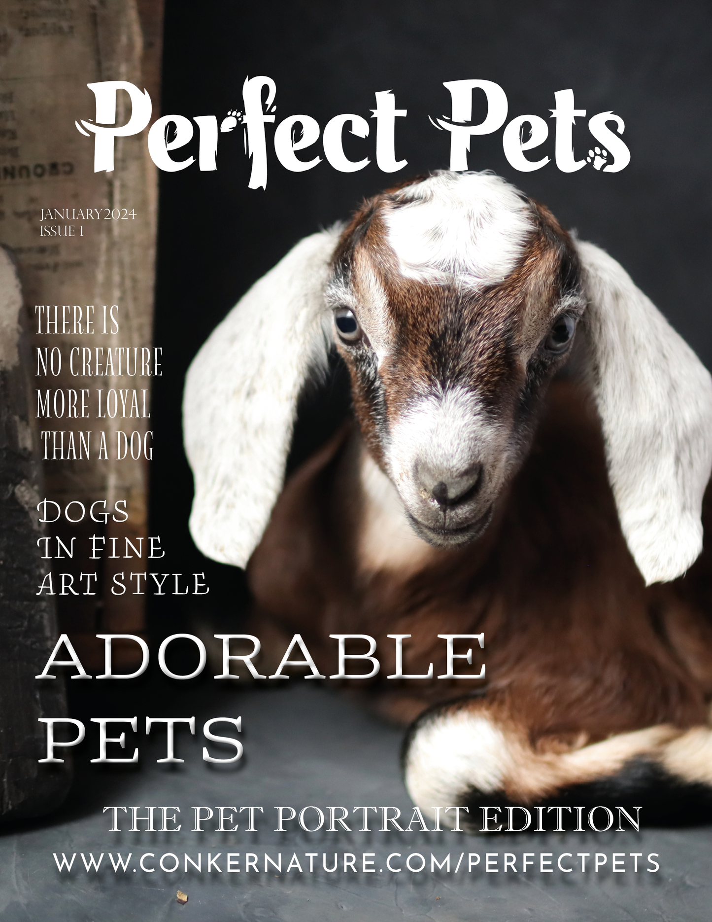 Perfect Pets Magazine - January 2024 Issue 3: The Pet Portrait Edition Issue 1