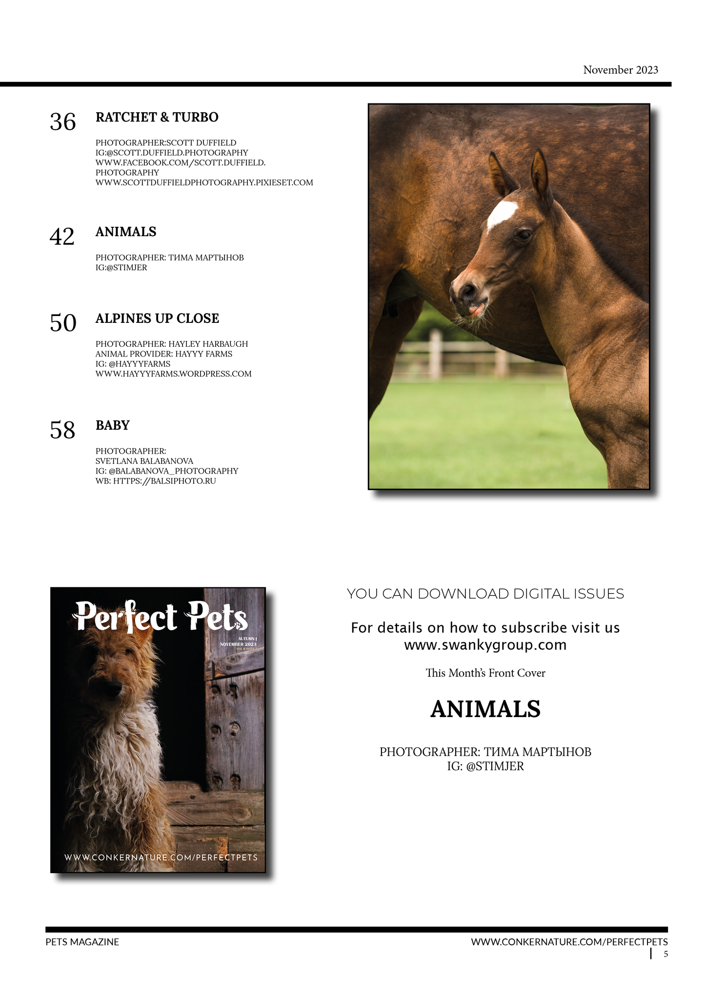 Perfect Pets Magazine | Autumn | The Perfect Pet Pals Issue: November 2023