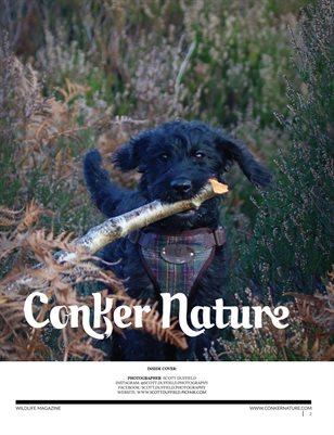 CONKER NATURE MAGAZINE | SPRING | THE PETS MONTHLY ISSUE: MARCH 2023 | VOL XXII | ISSUE II
