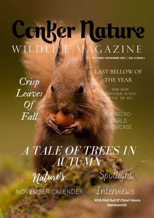 Conker Nature Wildlife Magazine: Autumn | November 2021 | Volume II, Issue II - PRINT