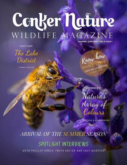 CONKER NATURE MAGAZINE: SUMMER | JUNE 2022 | VOL IX ISSUE I